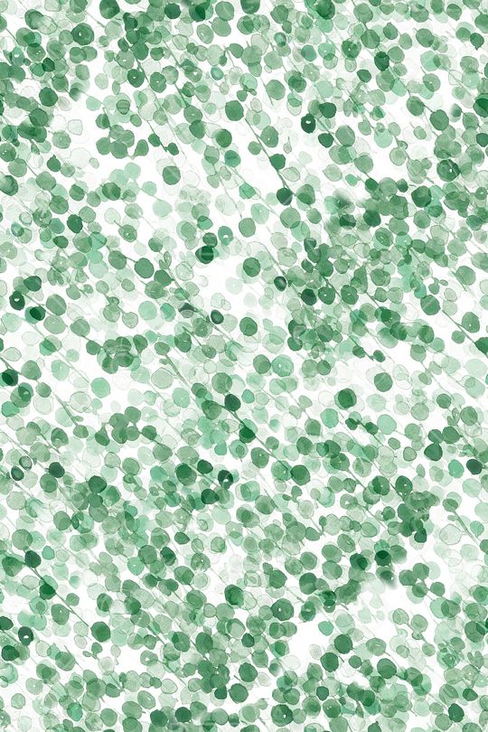 绿植树叶印花华亿平台图片