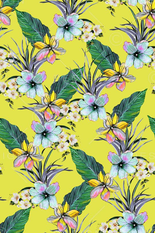 女装印花华亿平台图片