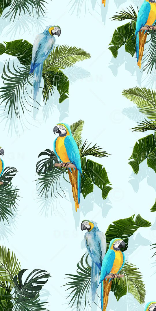 鹦鹉印花华亿平台图片