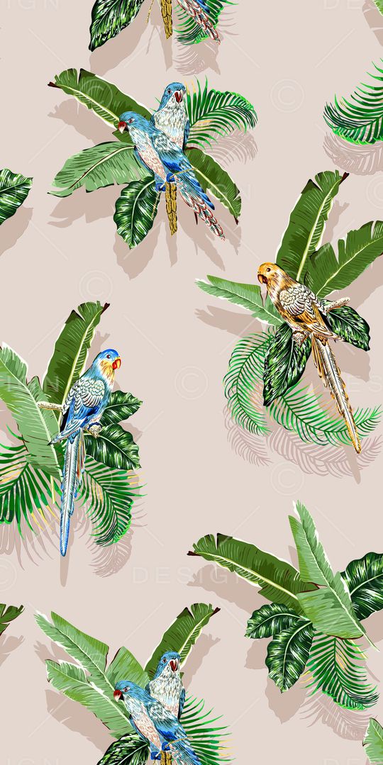 鹦鹉印花华亿平台图片