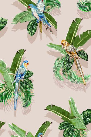 鹦鹉印花华亿平台图片