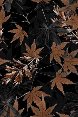 绿植树叶印花华亿平台图片