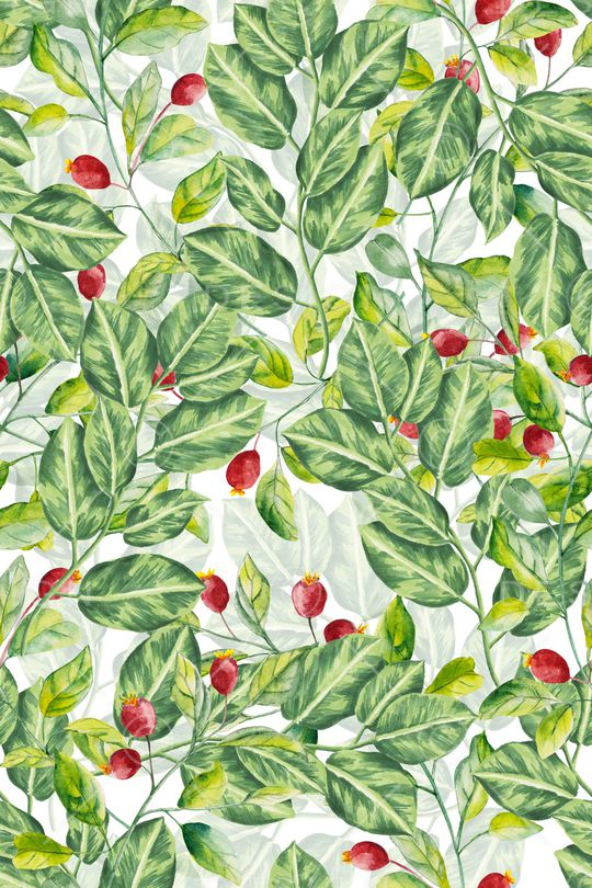 绿植树叶印花华亿平台图片