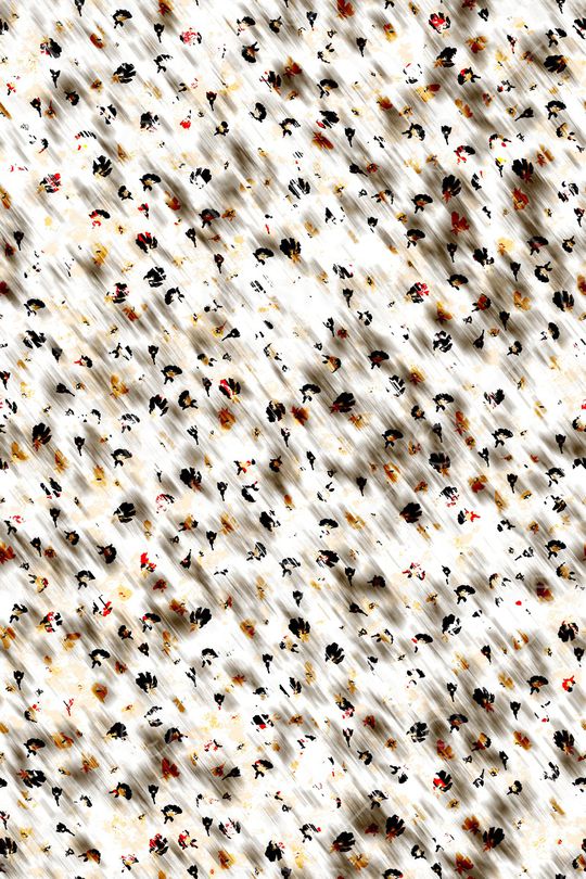 肌理印花华亿平台图片