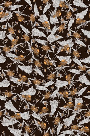 女装印花华亿平台图片