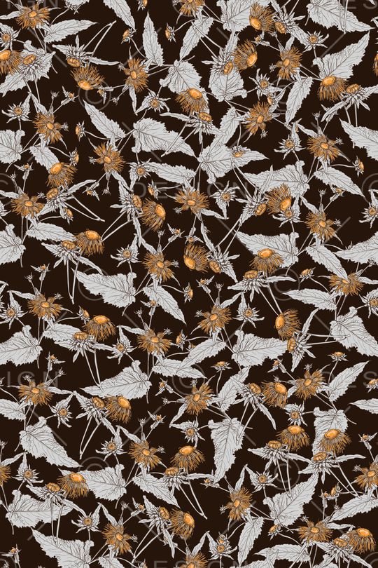 女装印花华亿平台图片