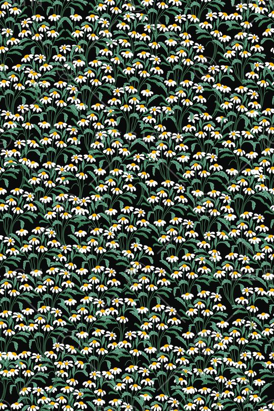 女装印花华亿平台图片