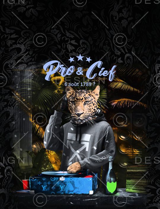 豹子印花华亿平台图片