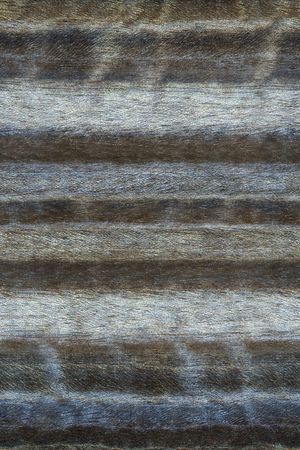 肌理印花华亿平台图片