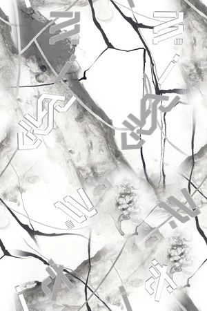 男装满版花印花华亿平台图片