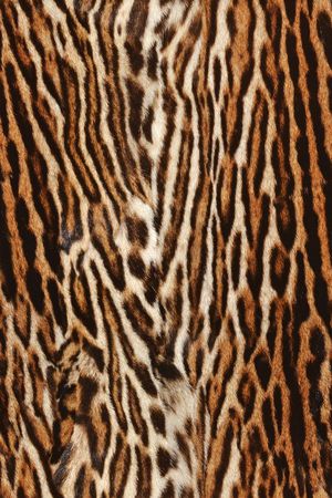 肌理印花华亿平台图片