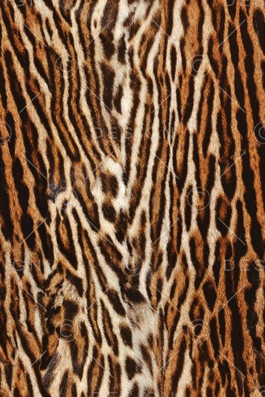 肌理印花华亿平台图片