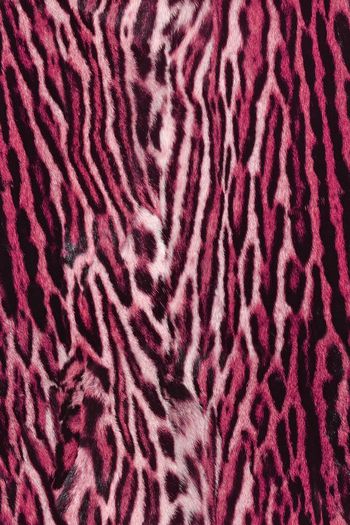 1481535-动物纹08b