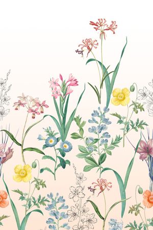 女装定位花印花华亿平台图片