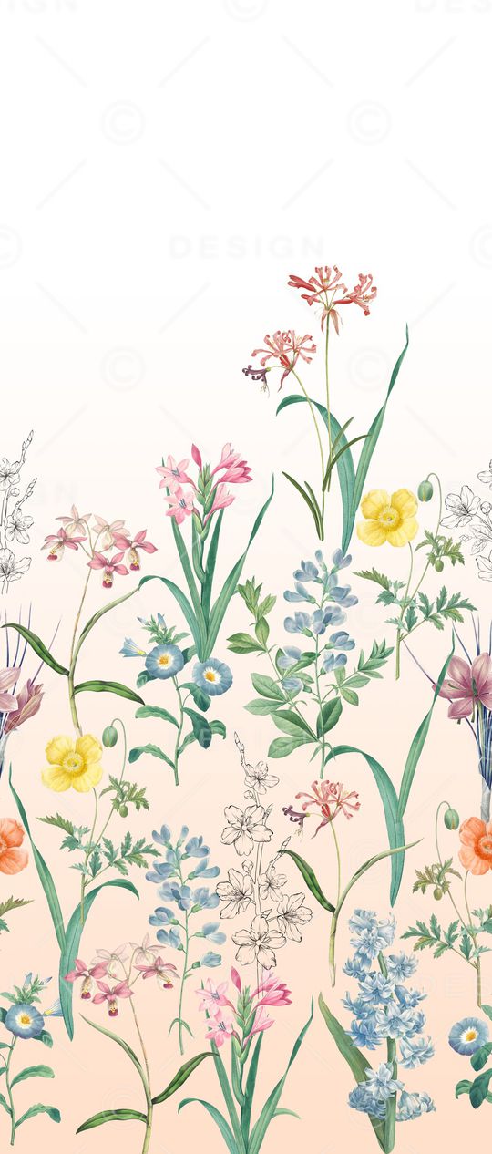 女装定位花印花华亿平台图片