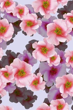 植物印花华亿平台图片