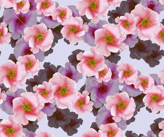 植物印花华亿平台图片