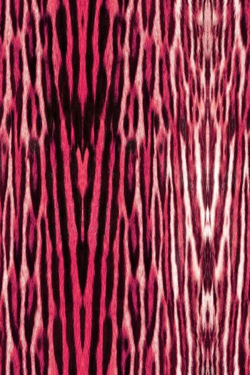 1481750-动物纹09b