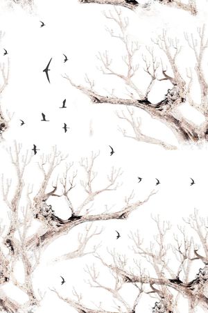 树林印花华亿平台图片