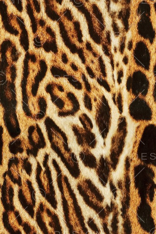 肌理印花华亿平台图片