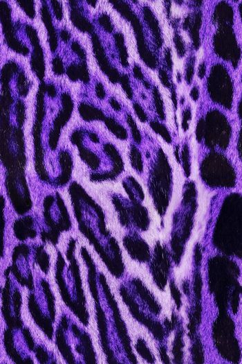 1481793-动物纹10b