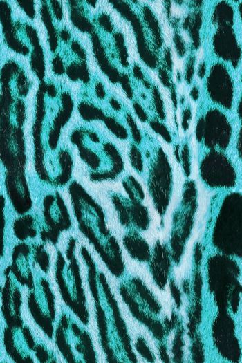 1481794-动物纹10c