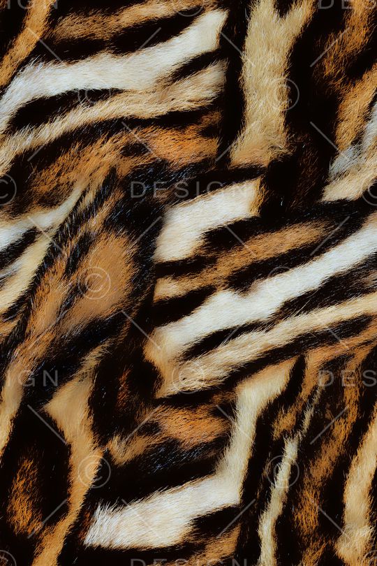 动物纹印花华亿平台图片