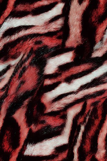 1481809-动物纹11b