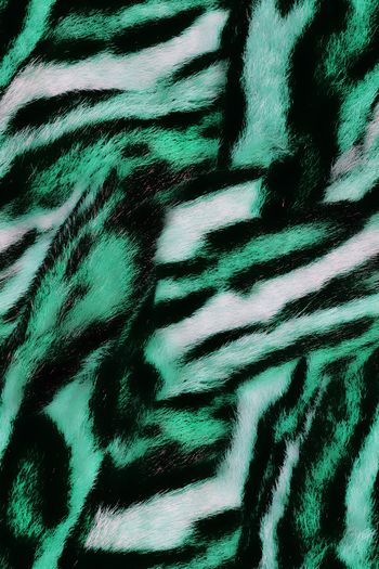 1481810-动物纹11c