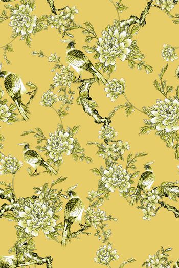 1481896-2022-3-12花鸟-01