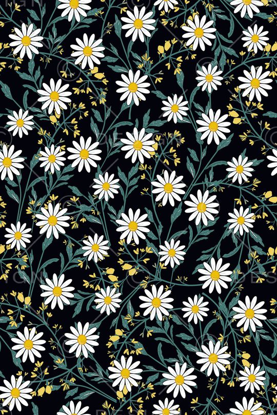 女装印花华亿平台图片