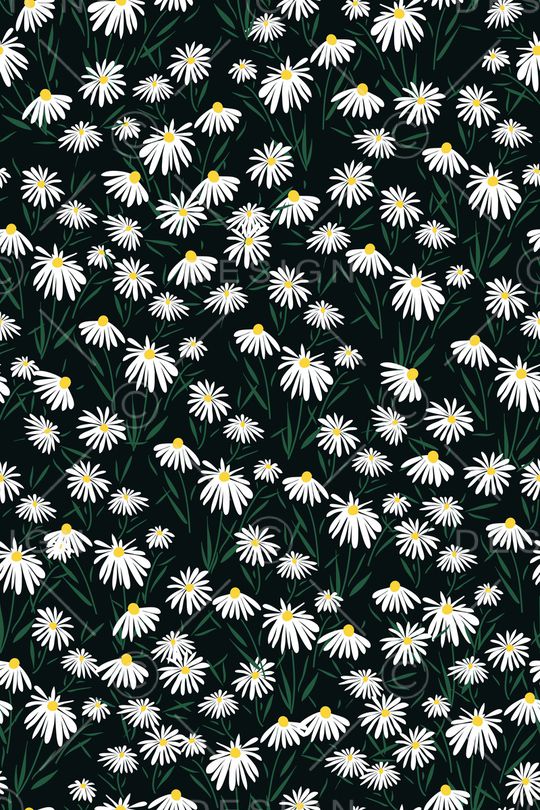 女装印花华亿平台图片