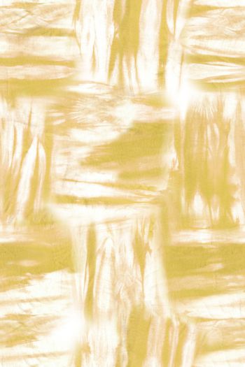 1481979-倩纤婳染