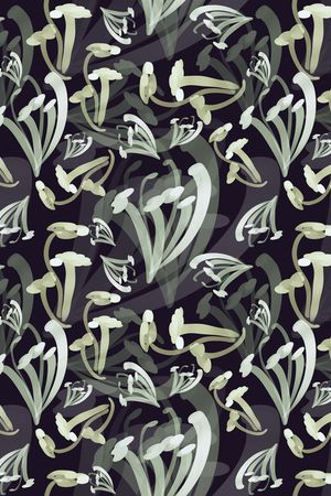 大牌风印花华亿平台图片