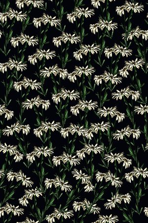 女装印花华亿平台图片