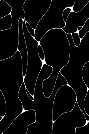 男装印花华亿平台图片