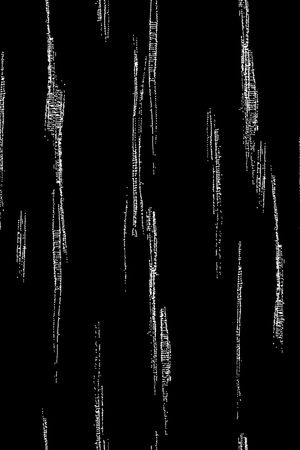 男装印花华亿平台图片