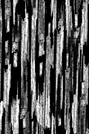 肌理印花华亿平台图片