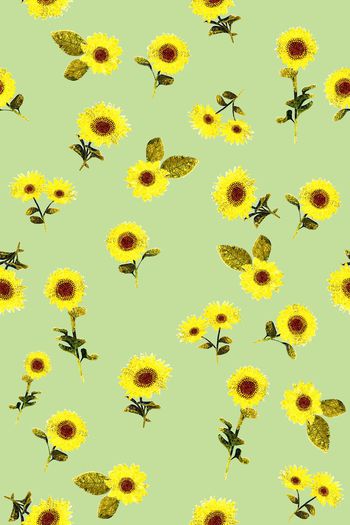 1483068-碎纷飞葵