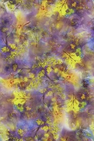 树枝印花华亿平台图片