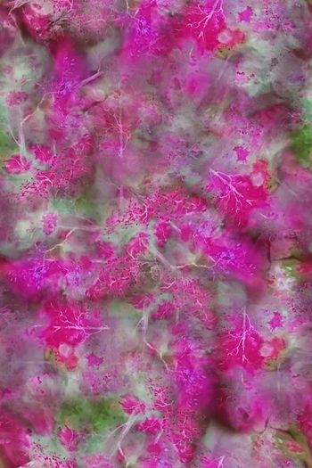 1483110-2022-3-15树-01