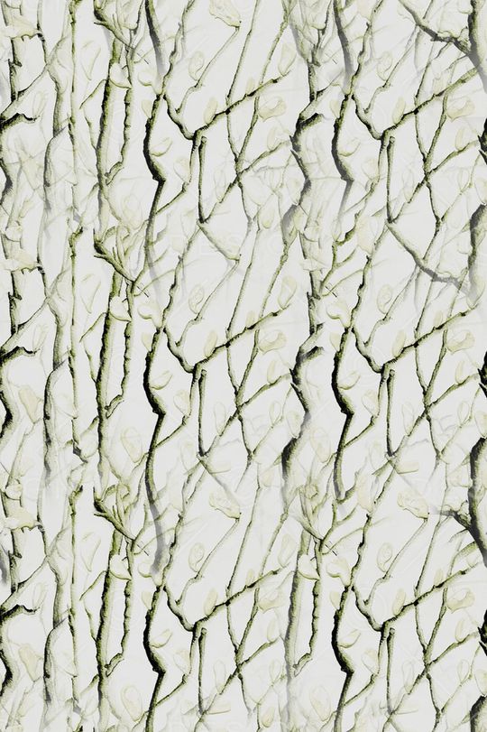 树枝印花华亿平台图片