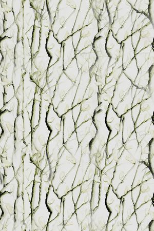 树枝印花华亿平台图片