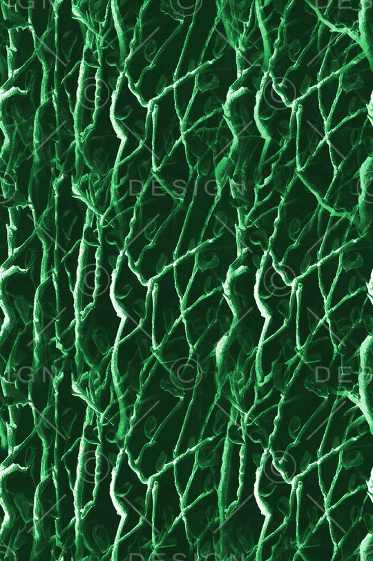 树枝印花华亿平台图片