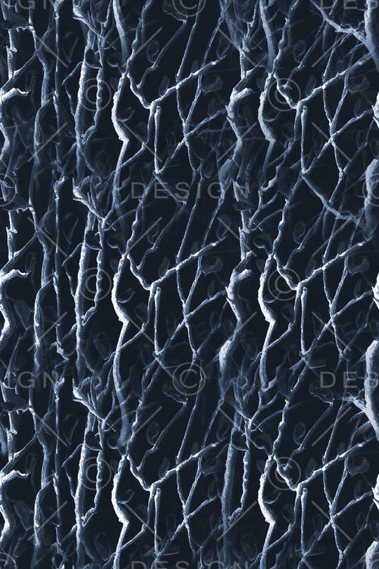 树枝印花华亿平台图片