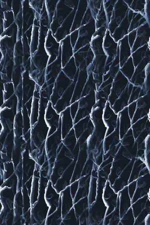 树枝印花华亿平台图片