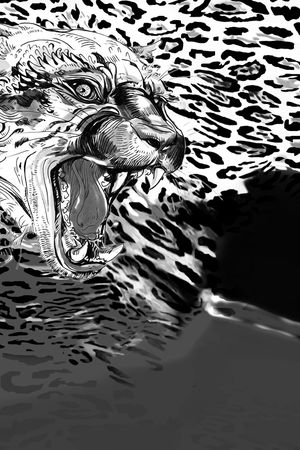 几何印花华亿平台图片