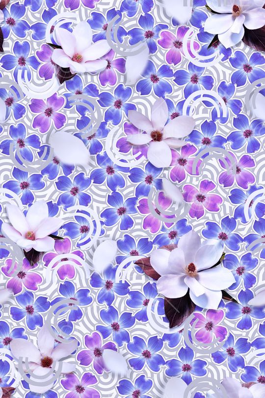 玉兰花印花华亿平台图片