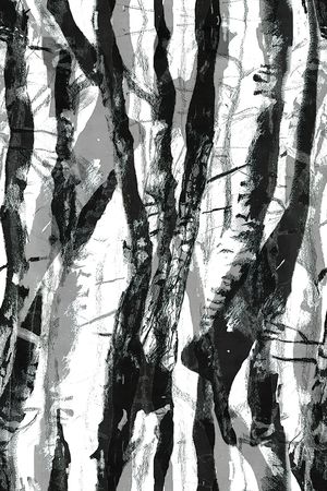 黑白条纹印花华亿平台图片