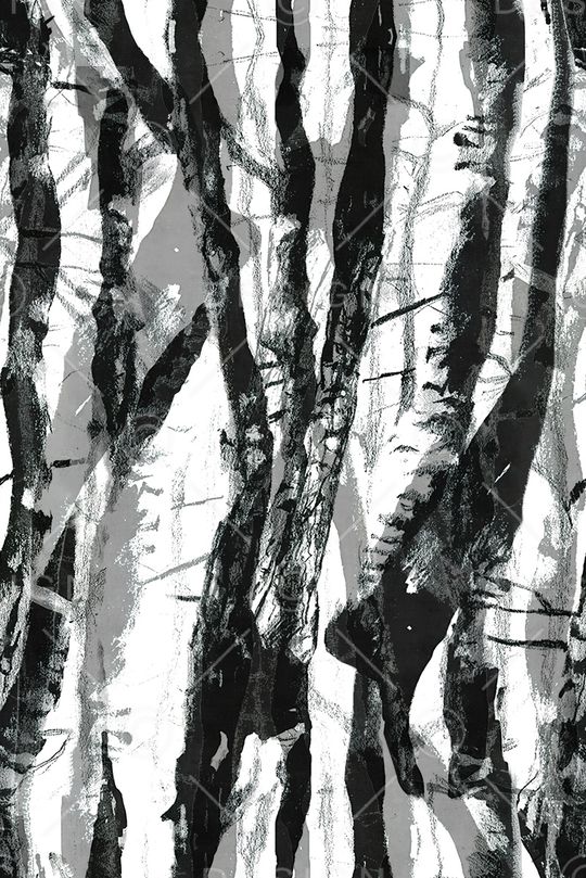 黑白条纹印花华亿平台图片